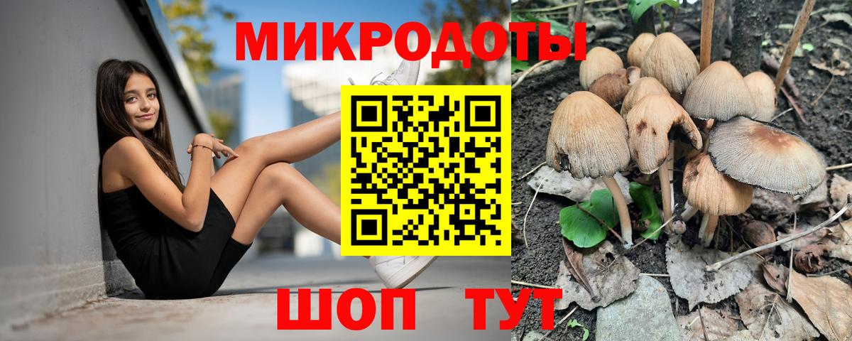 Псилоцибиновые грибы прущие грибы Алатырь